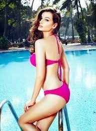 Evelyn Sharma latest Photos in bikini