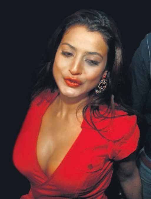 Ameesha Patel Hot & Sexy Photo Collection