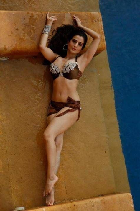 Ameesha Patel Hot And Sexy Photo Collection 2227