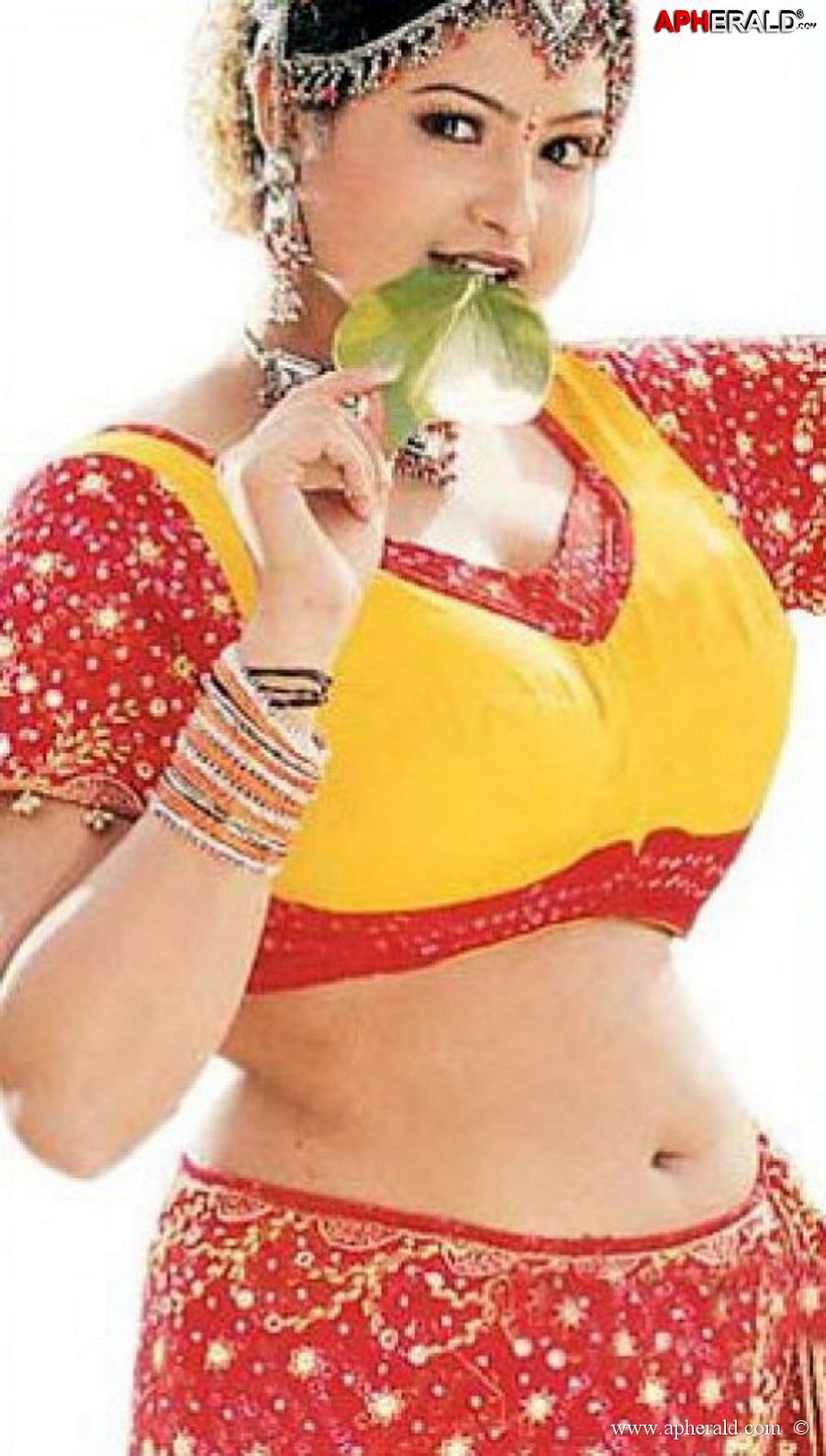 Telugu Actress Raasi Hot Spicy Collection