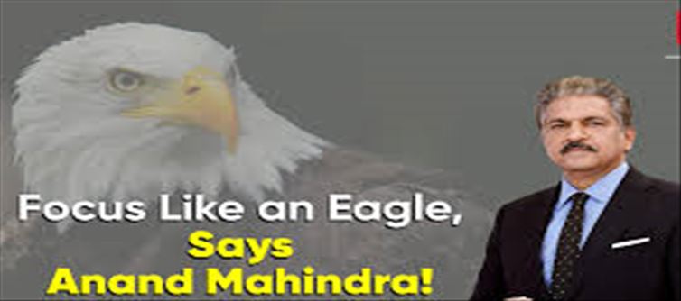 How Anand Mahindra motivates people with Bald Eagle?