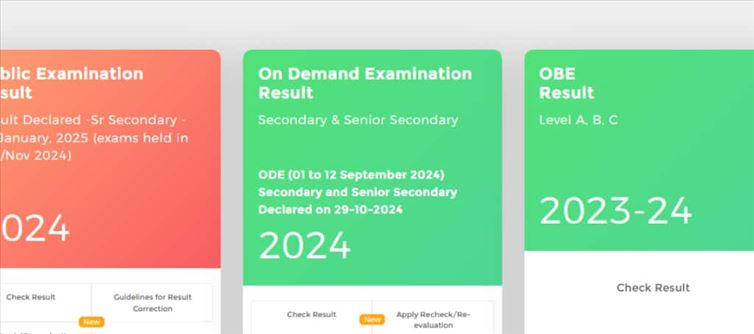 NIOS twelfth result 2024 Out for October examination