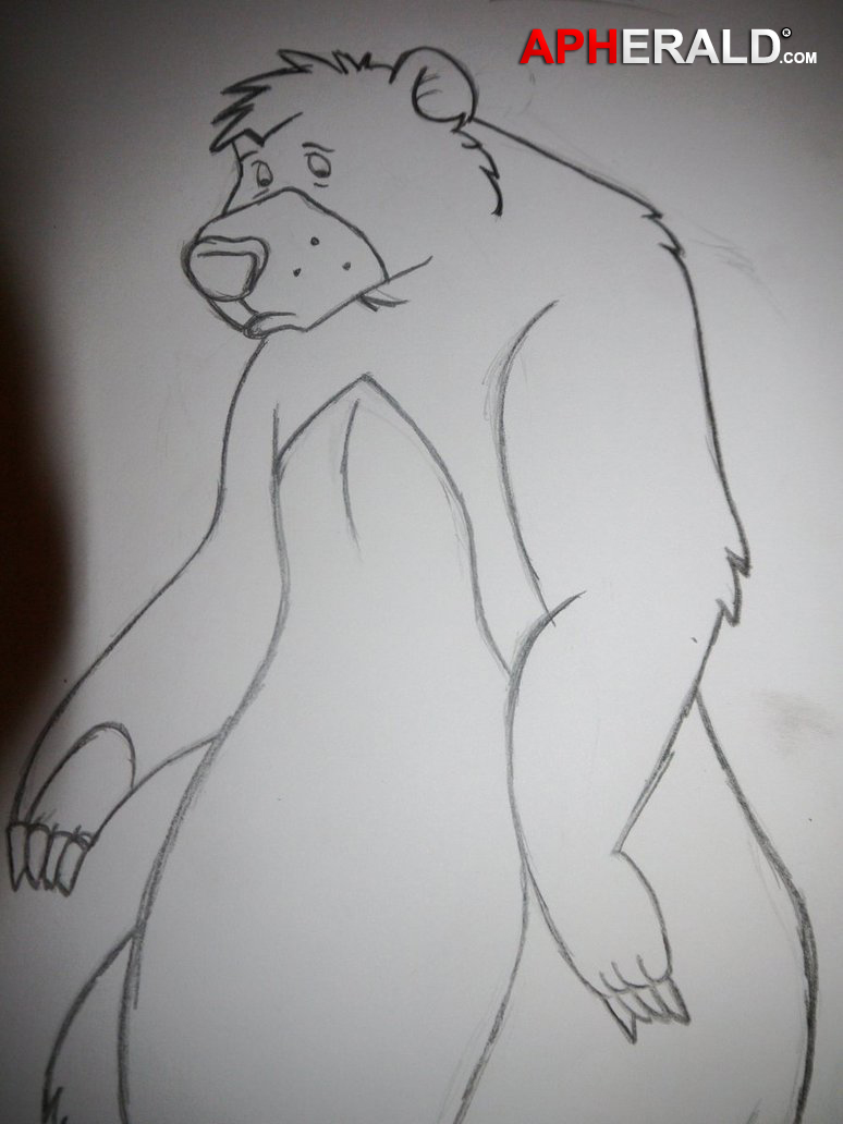 Baloo Drawings