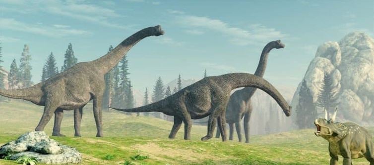 Were vegetarian dinosaurs the reason for the dinosaurs being huge?