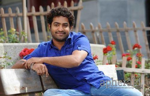 young tiger ntr Wallpapers