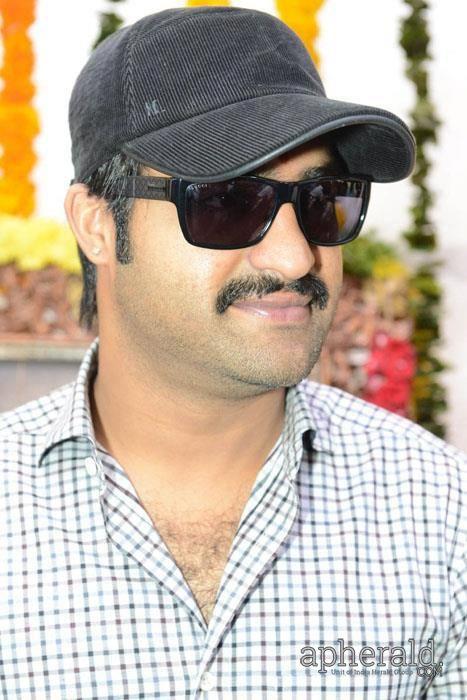 young tiger ntr Wallpapers