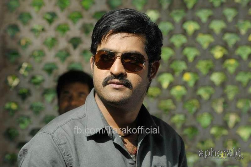 young tiger ntr Wallpapers