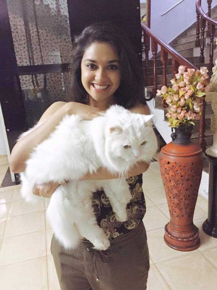 Actress Keerthy Suresh Stills