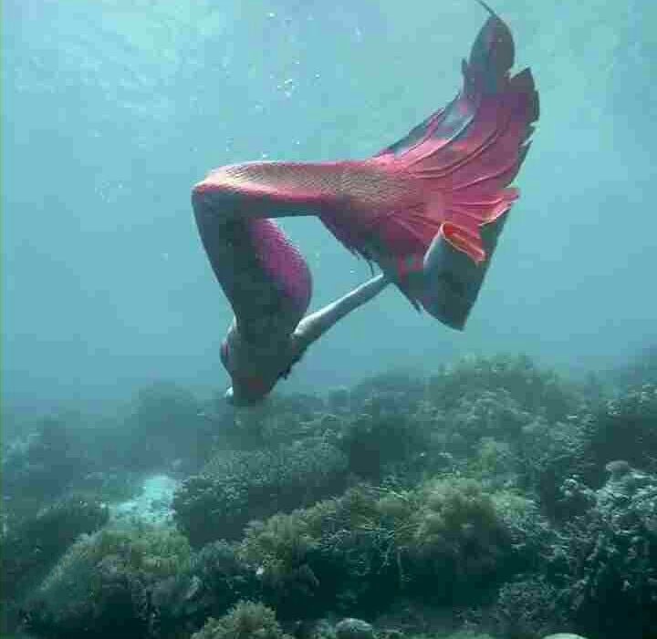 Nina Dobrev Photos Under Water