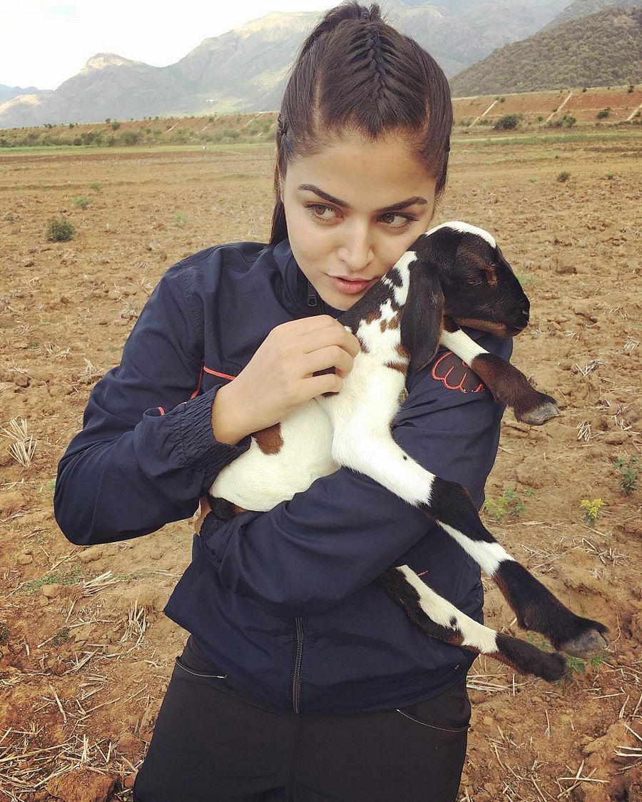 See Instagram photos from Wamiqa Gabbi