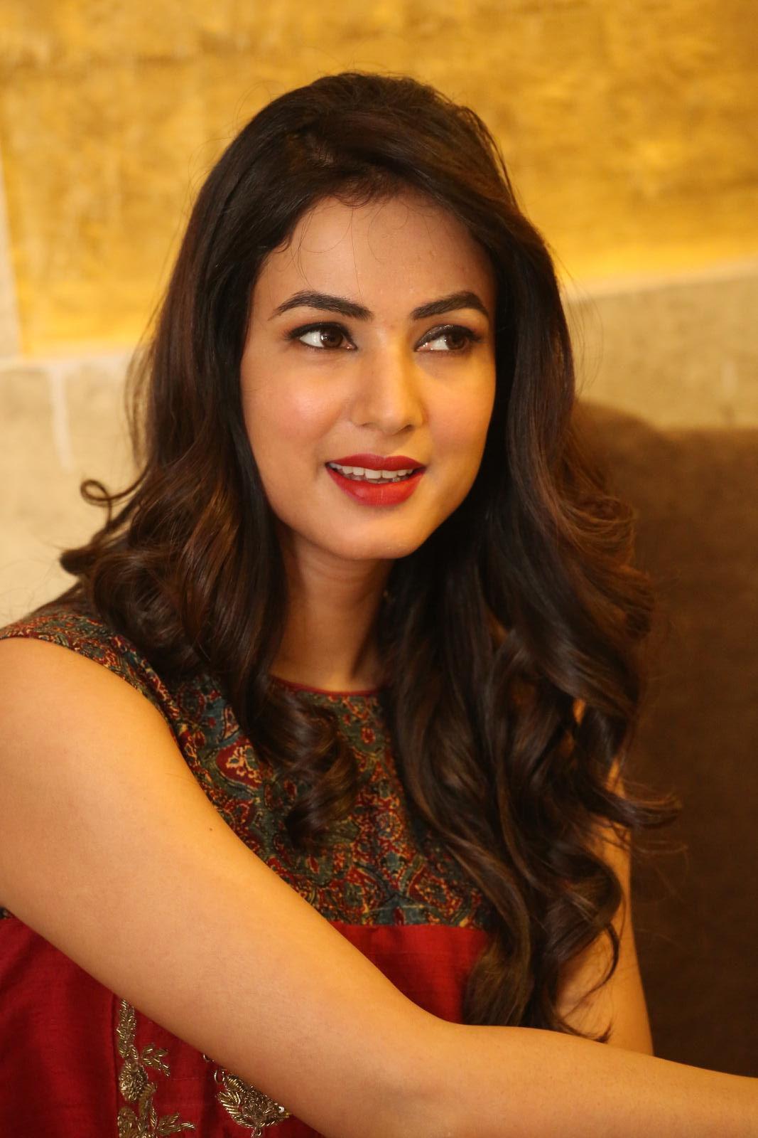  Actress Sonal Chauhan Beautiful Images