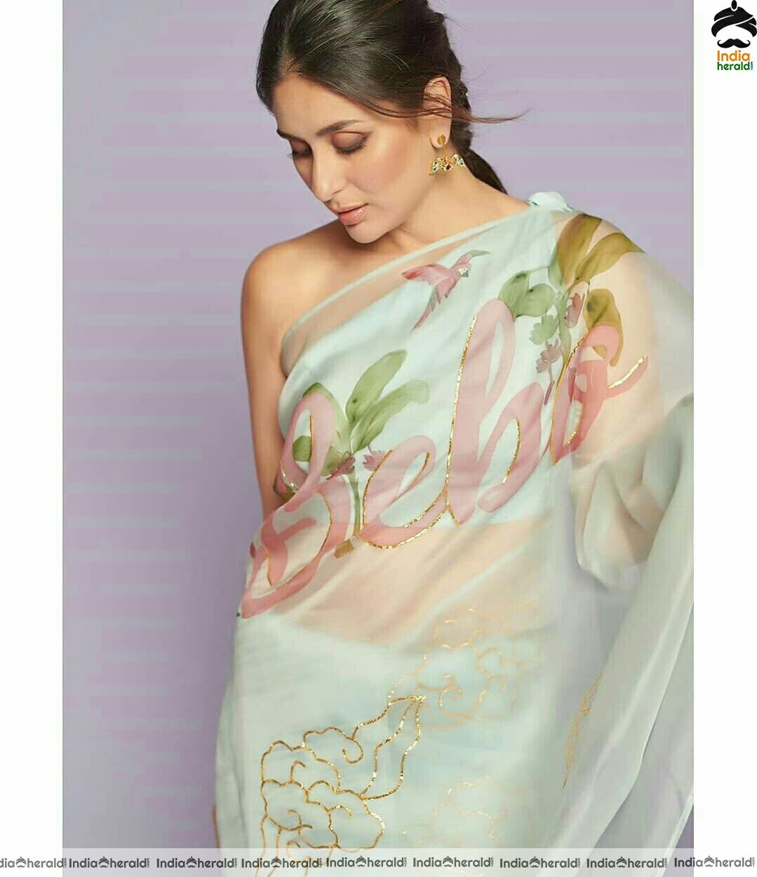 Kareena Kapoor Hot Transparent Sleeveless Blouse Saree Stil