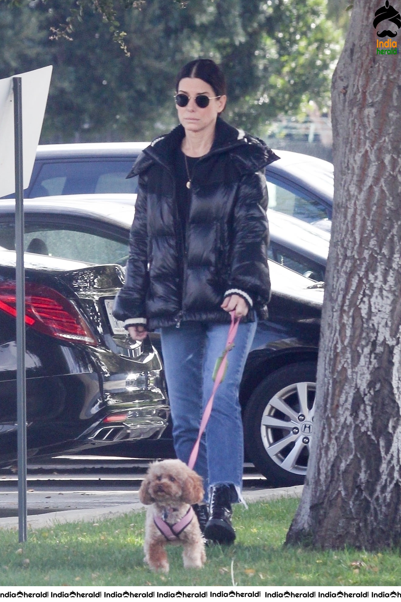 Sandra Bullock Takes her dog out for an afternoon walk in V
