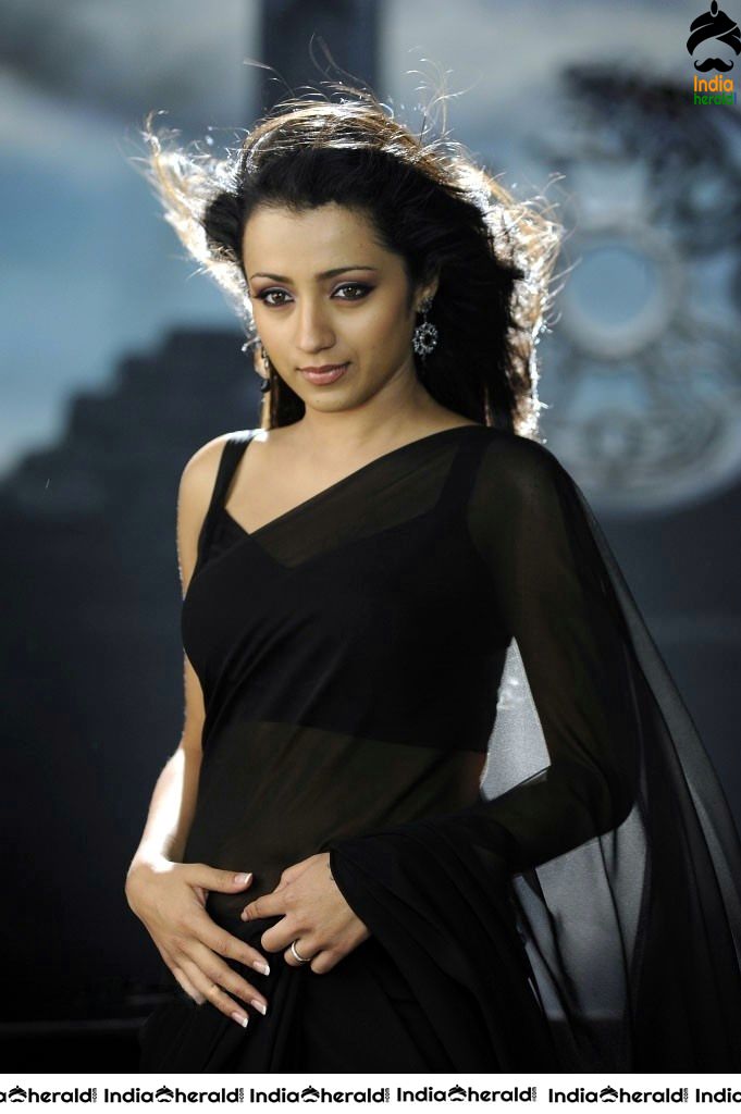 Trisha Hot Photos flaunting her Deep Navel in Saree and Sle