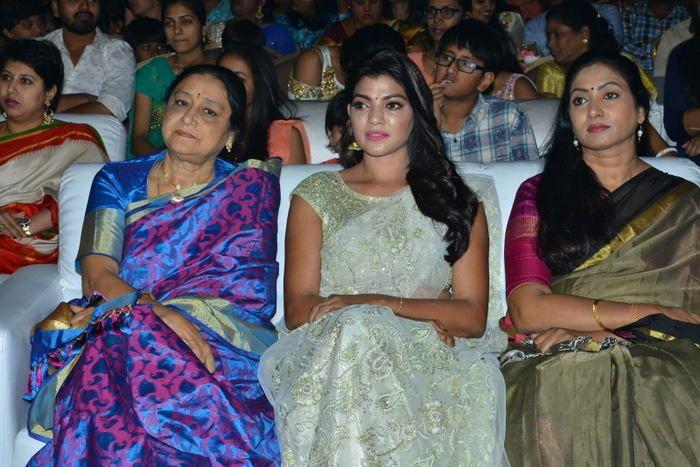 Srinivasa Kalyanam Movie Audio Launch Photos