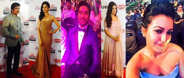 Celebs At Britannia Filmfare Awards South Photos