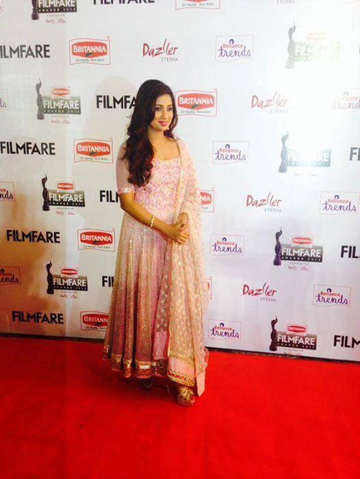 Celebs At Britannia Filmfare Awards South Photos