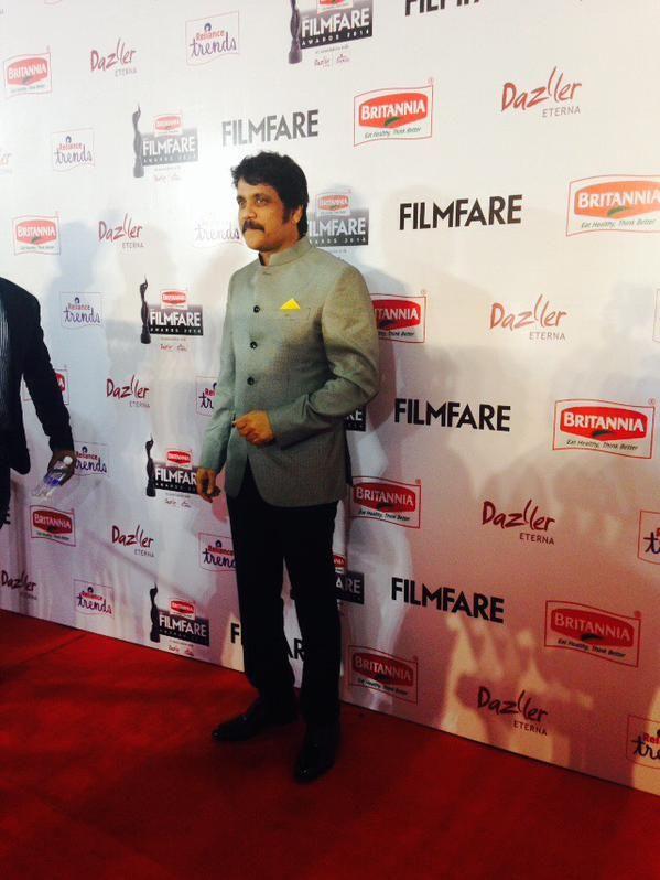 Celebs At Britannia Filmfare Awards South Photos