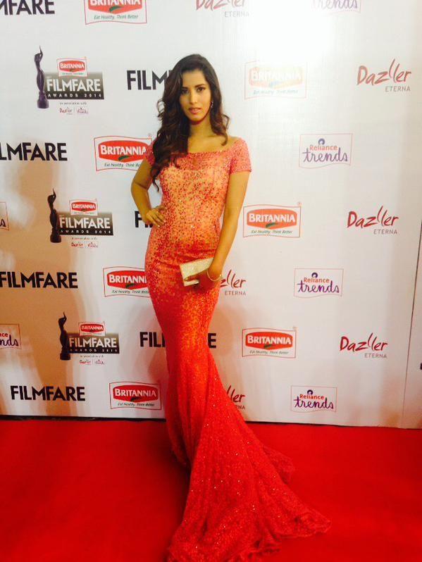 Celebs At Britannia Filmfare Awards South Photos