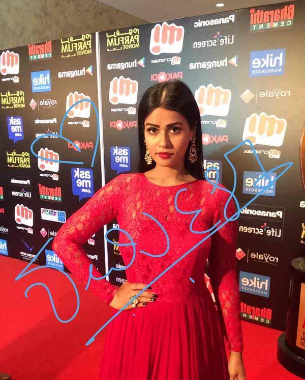 Celebs Signature Stills At SIIMA Awards 2015