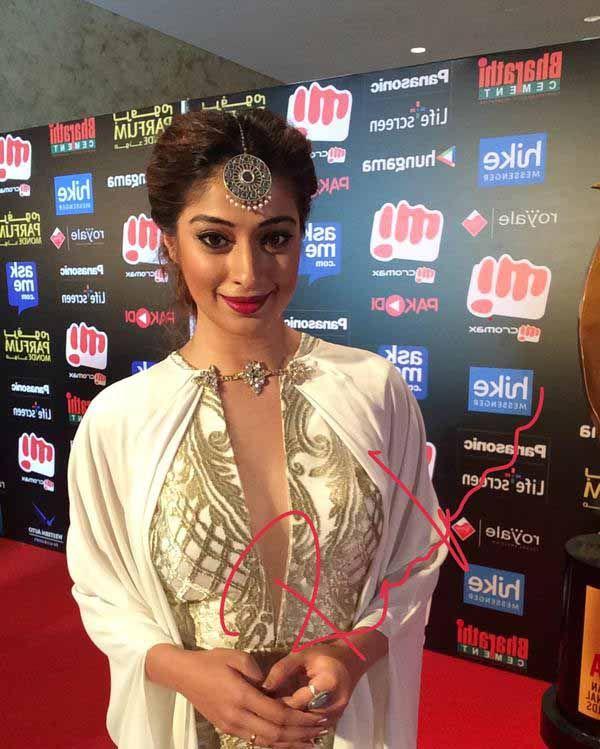 Celebs Signature Stills At SIIMA Awards 2015