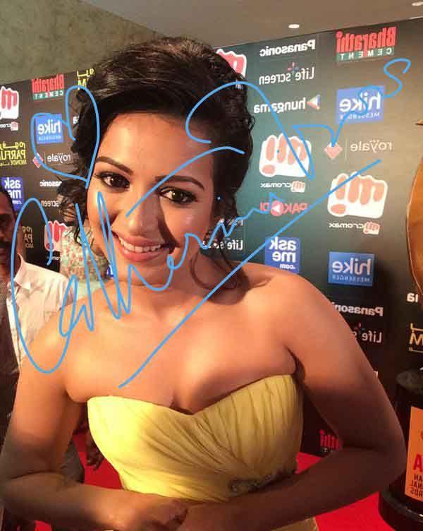 Celebs Signature Stills At SIIMA Awards 2015