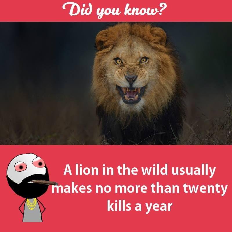 Interesting facts about animals