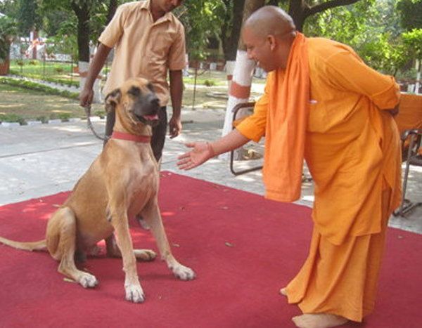 YOGI ADITYANATH Rare Photos