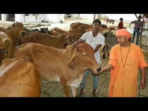 YOGI ADITYANATH Rare Photos