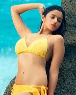 Alia Bhatt Bikini Navel Photos