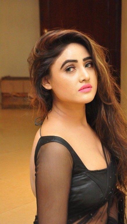 Sony Charishta Hot Photoshoot in Black Saree