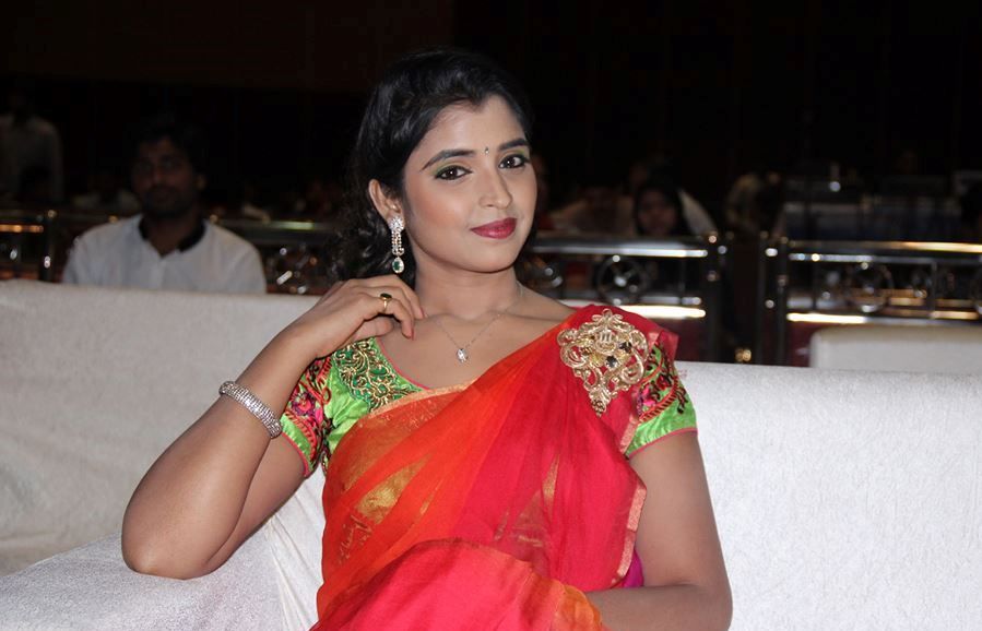 Telugu Tv Anchors Hot Unseen Pictures