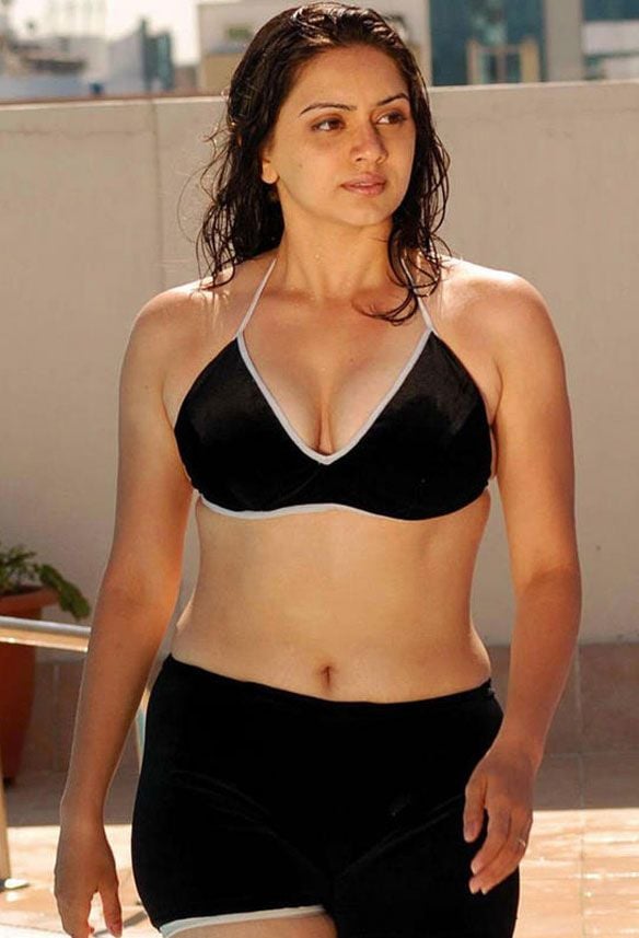 Tollywood Hot Sexy Actress Gallery