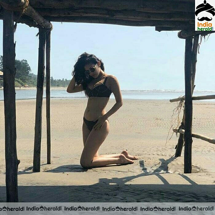 Amyradastur Latest Hot Bikini Stills 3110