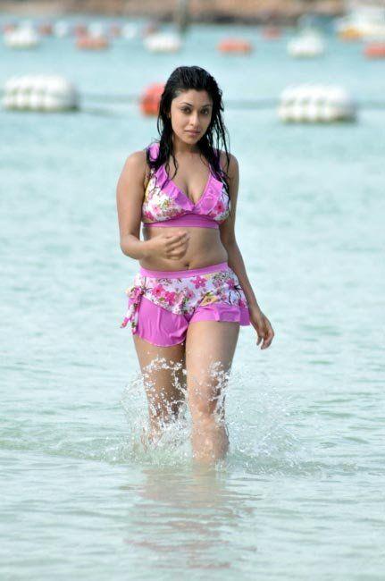 South Indian Actress Hot Pictures