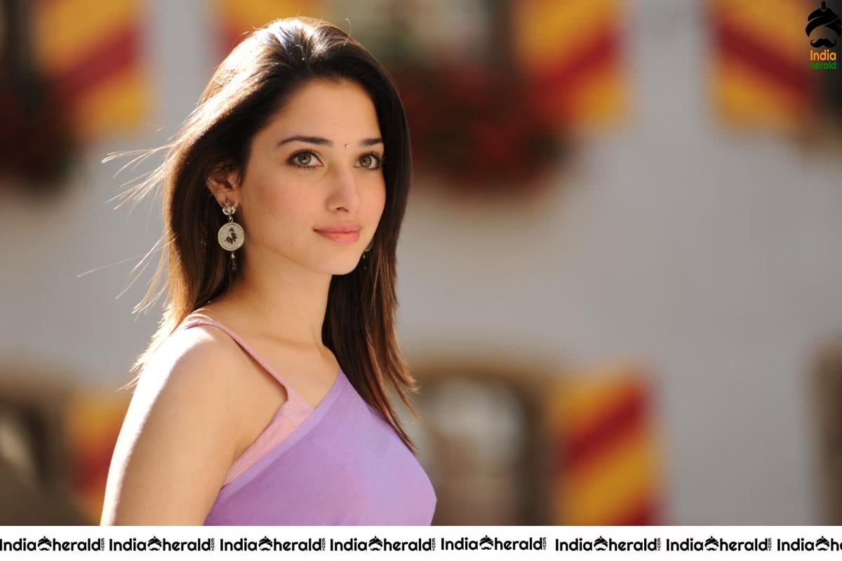 Tamanna Hot in Sleeveless Blouse and Light Colored Saree Se