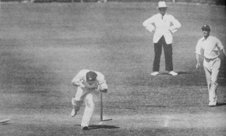 100 Iconic Cricket Photos That Every Fan Should See