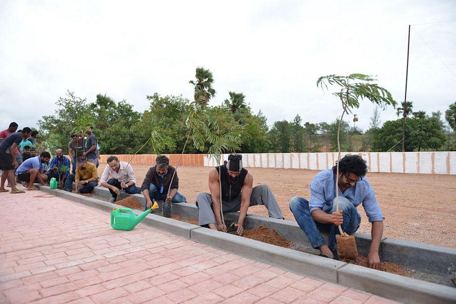 Baahubali Team At Haritha Haram Program