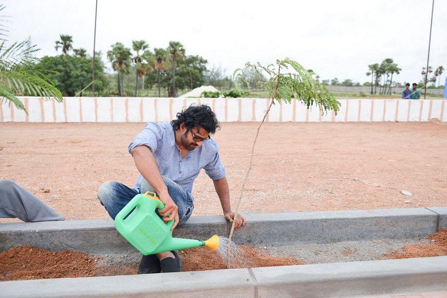 Baahubali Team At Haritha Haram Program