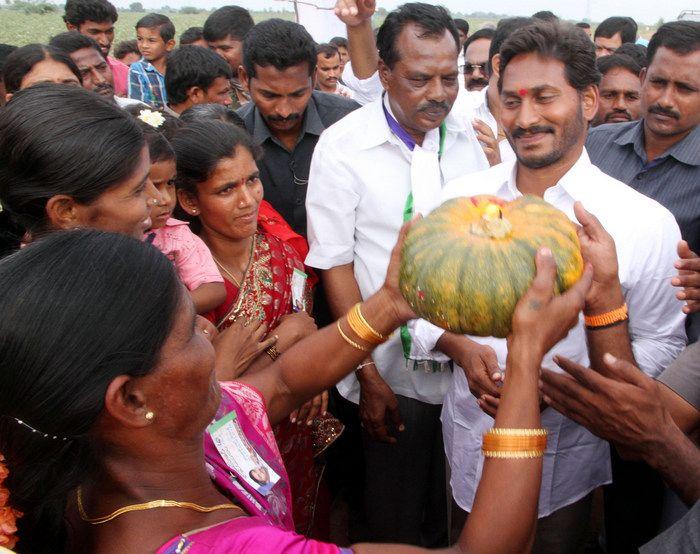 Jagan Praja Sankalpa Yatra Day 29 Photos