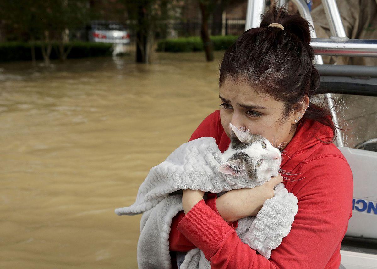 Latest Unseen Photos of Harvey's Disastrous Flooding