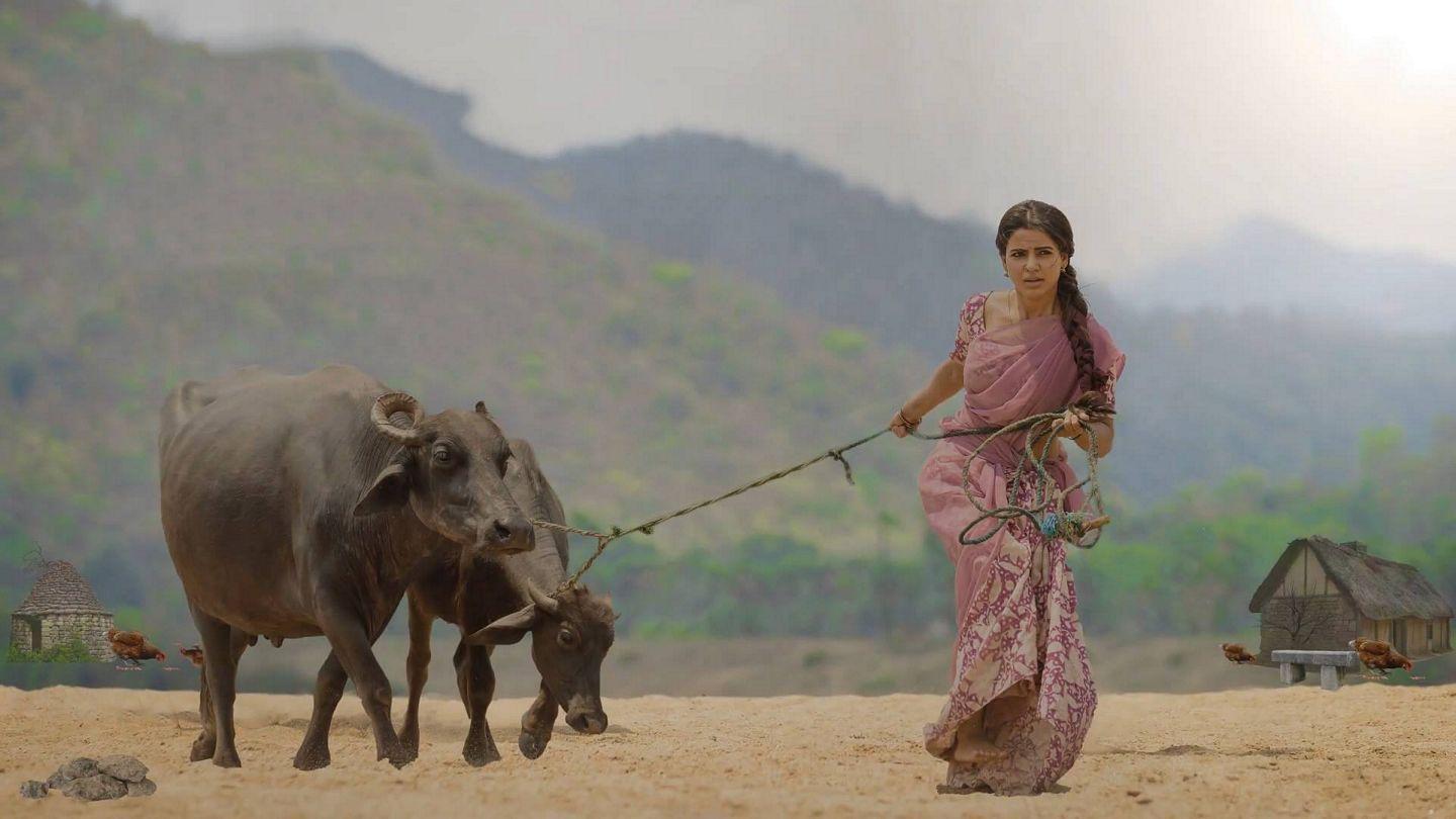 Ram Charan, Samantha & Pooja Hegde's working stills in a song from Rangasthalam