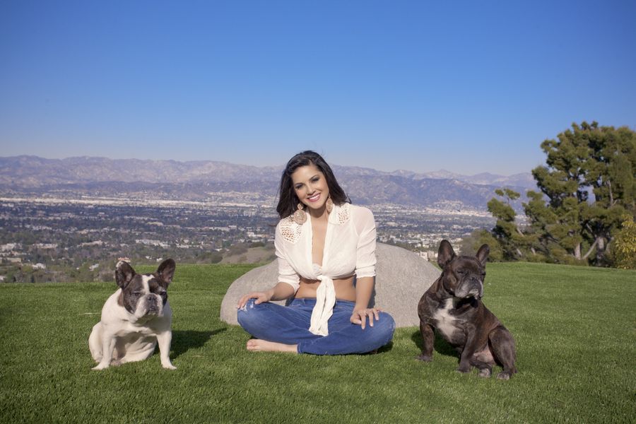 Sunny Leone With Her Dogs Pictures