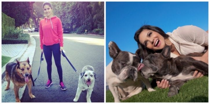 Sunny Leone With Her Dogs Pictures