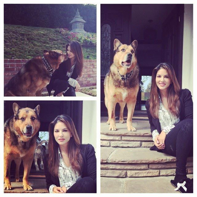 Sunny Leone With Her Dogs Pictures