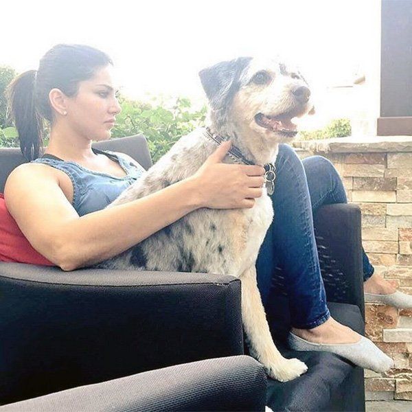 Sunny Leone With Her Dogs Pictures