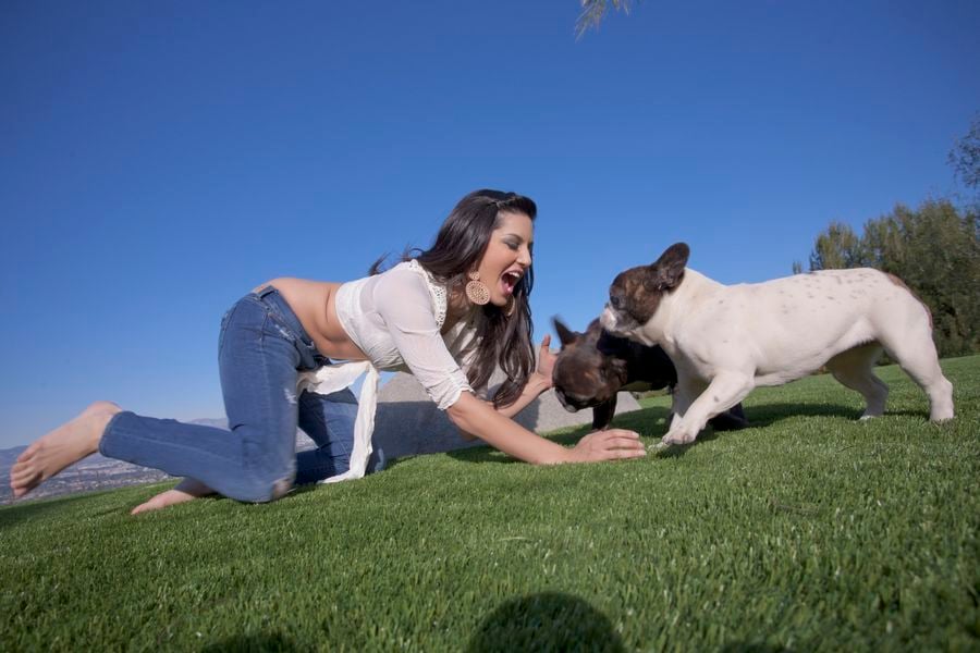 Sunny Leone With Her Dogs Pictures