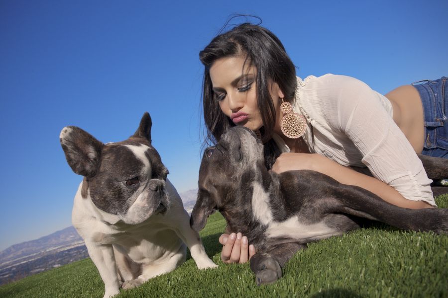 Sunny Leone With Her Dogs Pictures