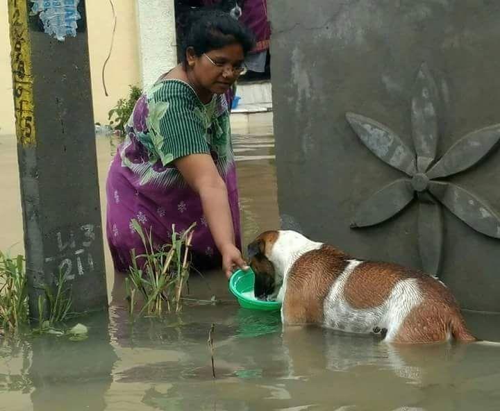 The Most Inspiring Photos That Prove Humanity Is Still Alive in India