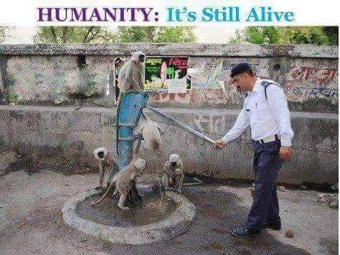 The Most Inspiring Photos That Prove Humanity Is Still Alive in India